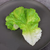 3d06396fed240c00f38120ab0b8eb5e0